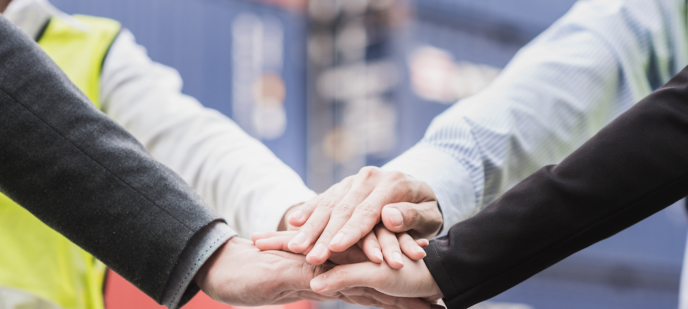 Experienced logistics team at Prabhat Roadways